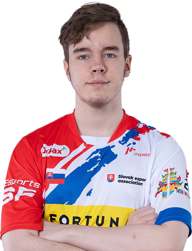 CSGO - Michal Vrzal.png